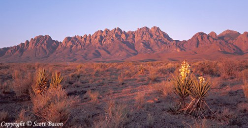Organ Mountains Las Cruces New Mexico