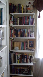 Corner bookshelves