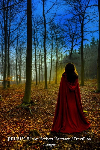 John Herbert Harrison