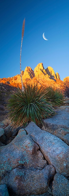 "Crescent Dawn" Organ Mountains, New Mexico. Jeffrey Murray Photography