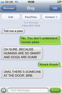 from http://textfromdog.tumblr.com/