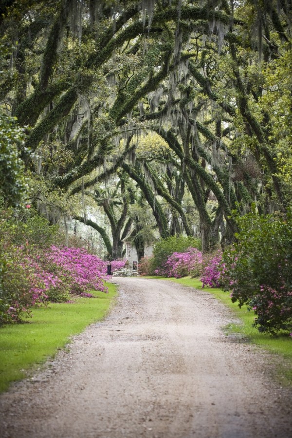 Afton Villa Gardens, St. Francisville, Louisiana (by Oivanki)