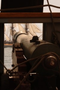 Image by James Steidl / Shutterstock