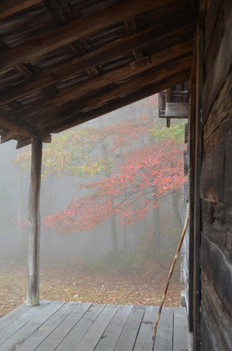 Image from http://autumn-dreaming.tumblr.com/