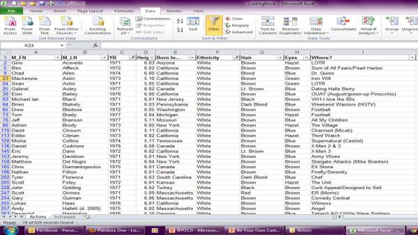 Spreadsheet filtered by YB (year born) and Ethnicity. (click image for full-size view)