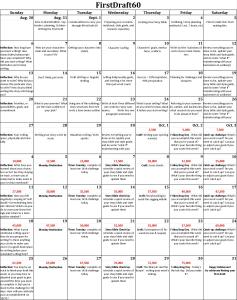 Sample Schedule for #FirstDraft60