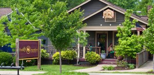 day-24-frothy-monkey